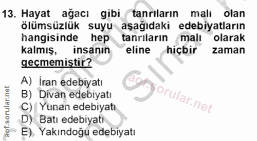 Soru 13