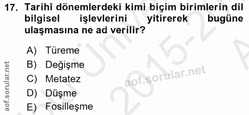 Soru 17