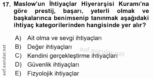 Soru 17