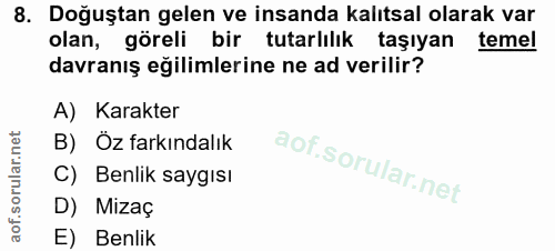 Soru 8