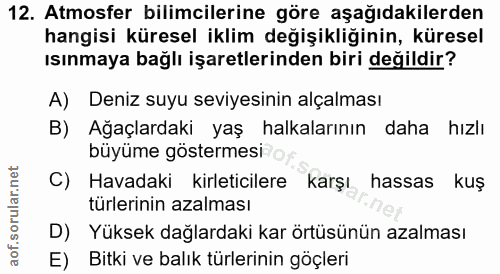 Soru 12