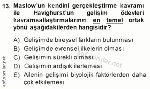 Soru 13