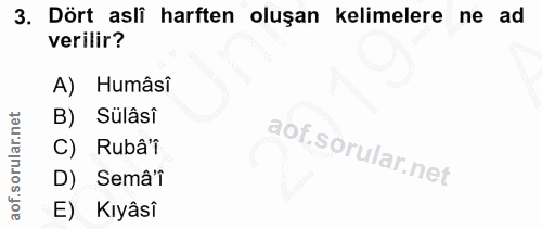 Soru 3