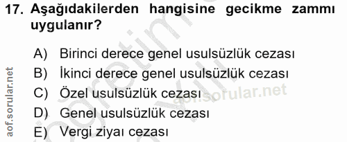 Soru 17