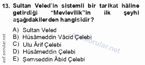 Soru 13
