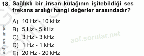 Soru 18