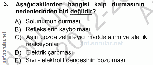 Soru 3