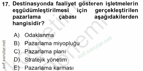 Soru 17