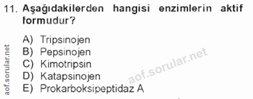 Soru 11