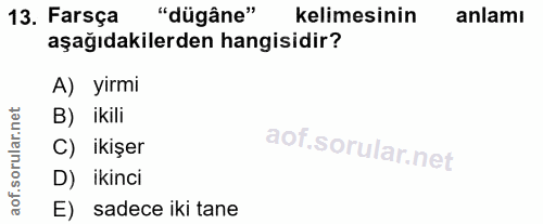 Soru 13