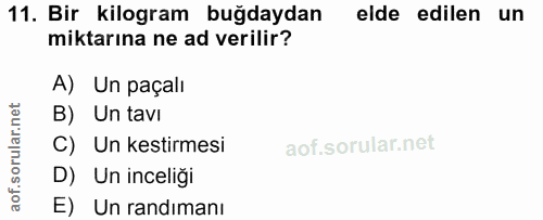 Soru 11