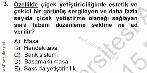 Soru 3
