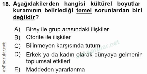 Soru 18
