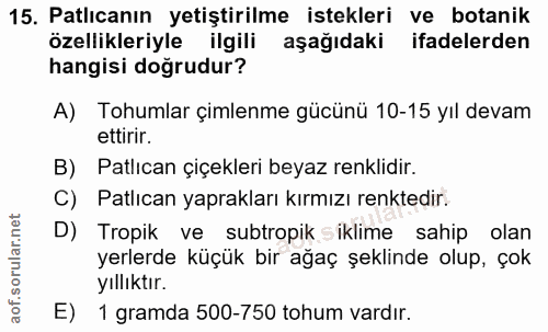 Soru 15