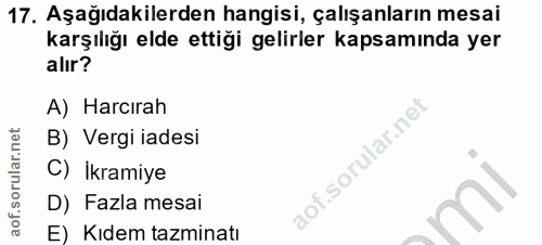 Soru 17