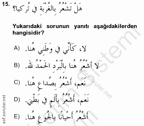 Soru 15
