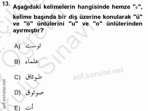 Soru 13