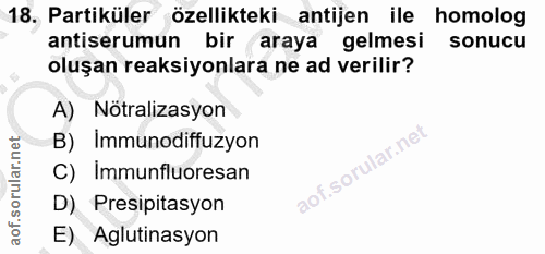 Soru 18