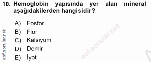Soru 10