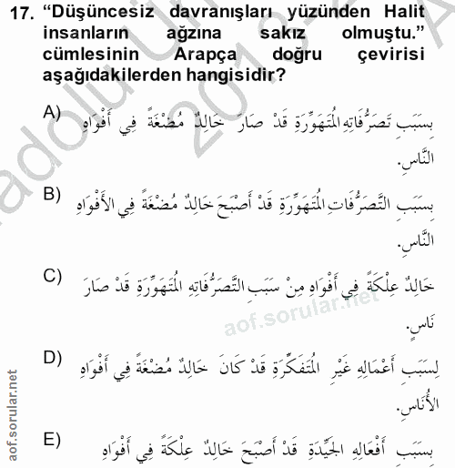 Soru 17