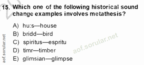 Soru 15