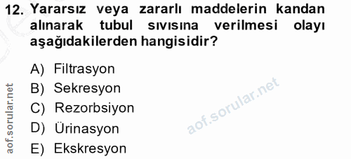 Soru 12