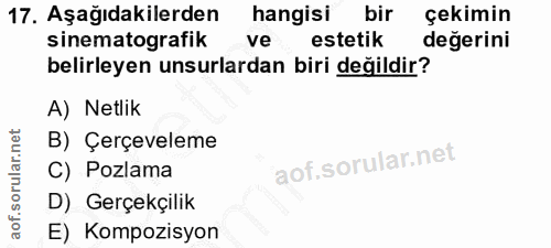 Soru 17