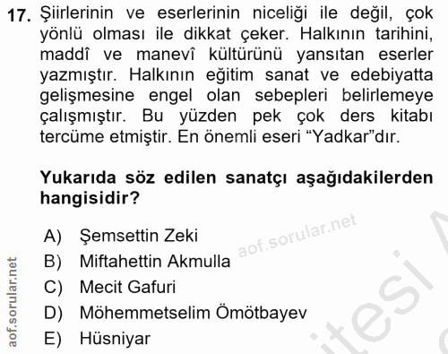 Soru 17