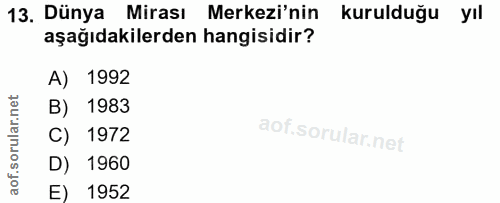 Soru 13