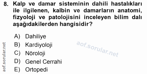 Soru 8
