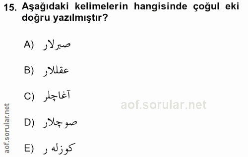 Soru 15