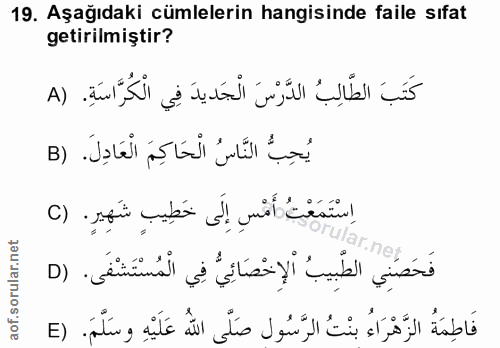 Soru 19