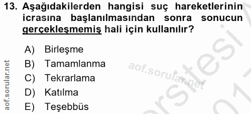 Soru 13