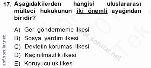 Soru 17