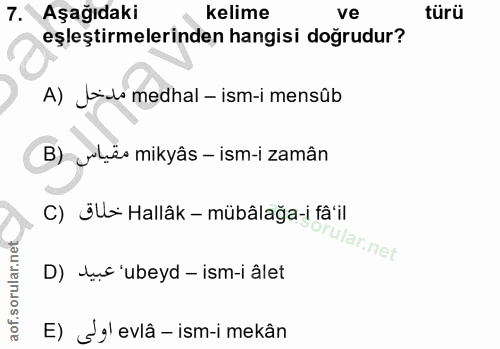 Soru 7