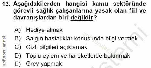 Soru 13