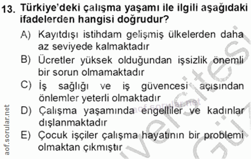 Soru 13