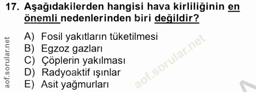Soru 17