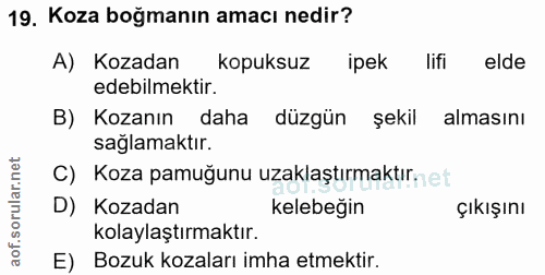 Soru 19