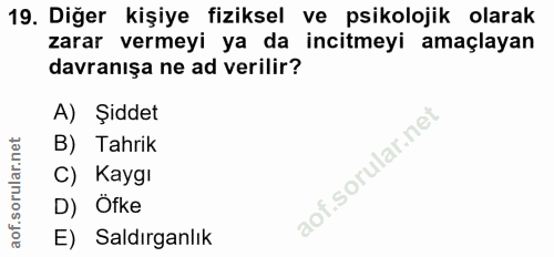 Soru 19