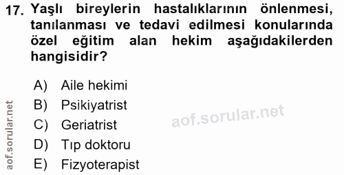 Soru 17