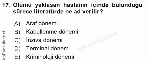 Soru 17