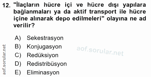 Soru 12