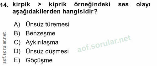 Soru 14
