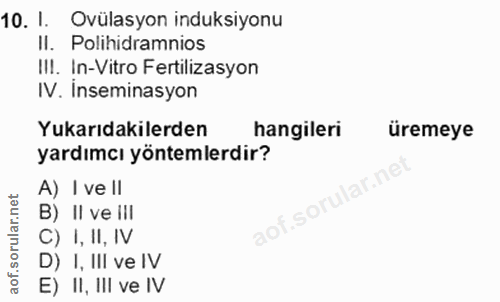 Soru 10