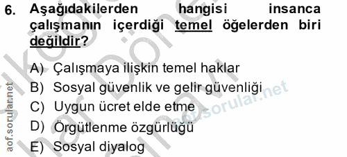 Soru 6