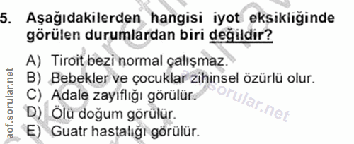 Soru 5