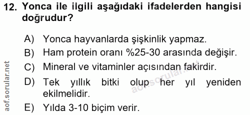Soru 12