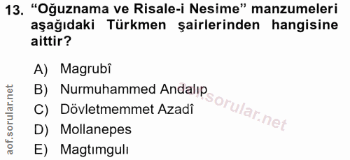 Soru 13