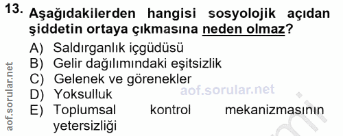 Soru 13
